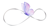 End of Life Doula